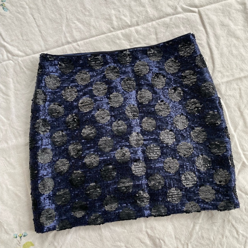 Madewell Broadway&Broome polkadot, sequin skirt